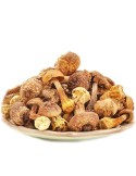 Champignon du soleil déshydraté