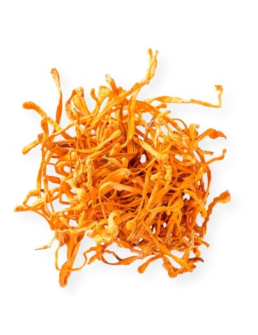 Cordyceps Militaris Desidratado - Energia e Vitalidade