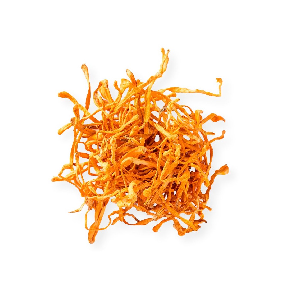 Dehydrated Cordyceps Militaris - Energy and Vitality Dehydrated Cordyceps Militaris - Energy and Vitality