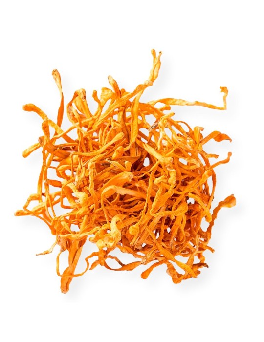 Getrockneter Cordyceps Militaris – Energie und Vitalität Getrockneter Cordyceps Militaris – Energie und Vitalität