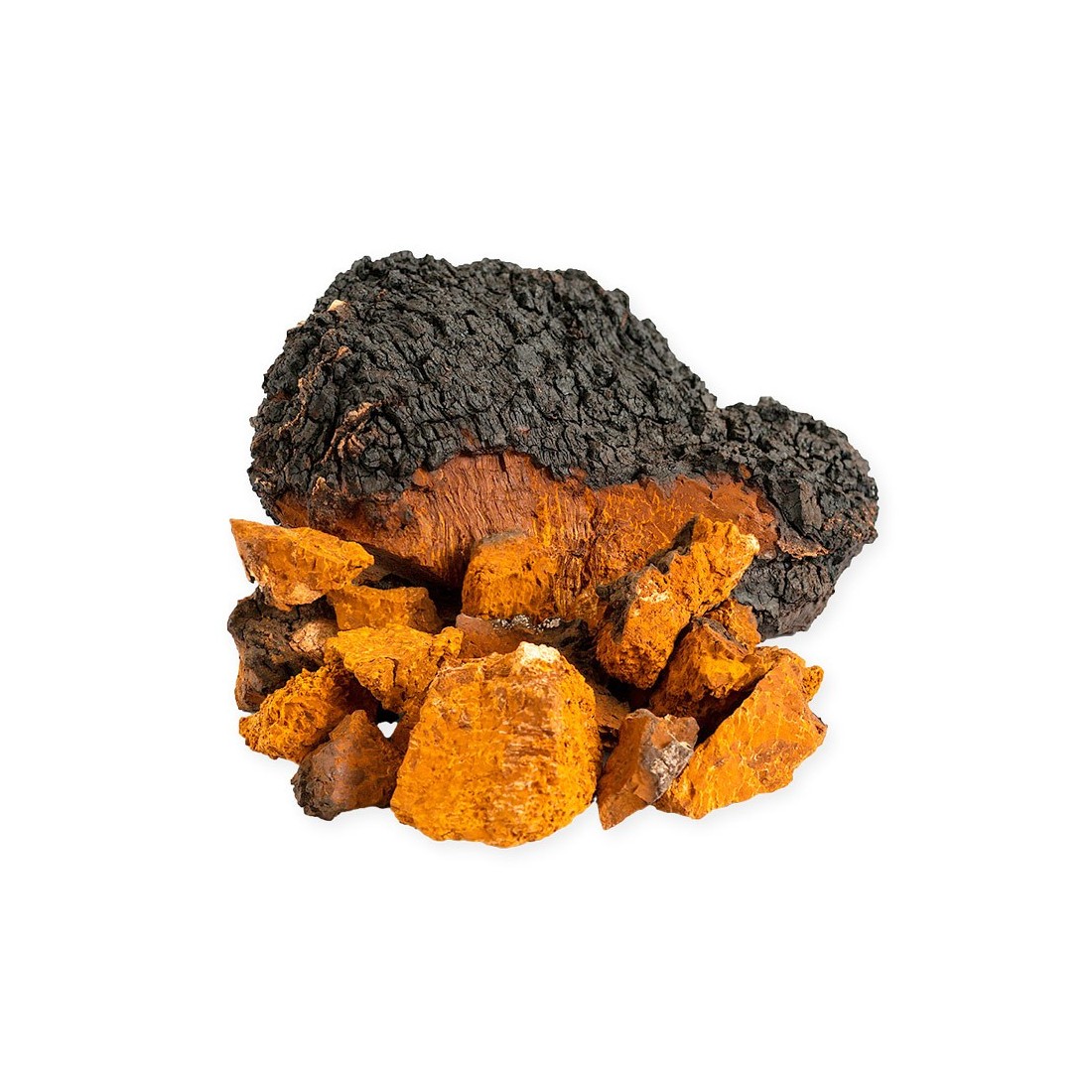 Chaga deshidratado Chaga deshidratado