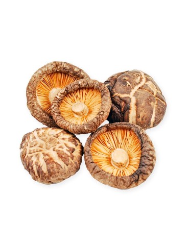 Dehydrated Lentinus Edodes - Gourmet Shiitake 100-1000g