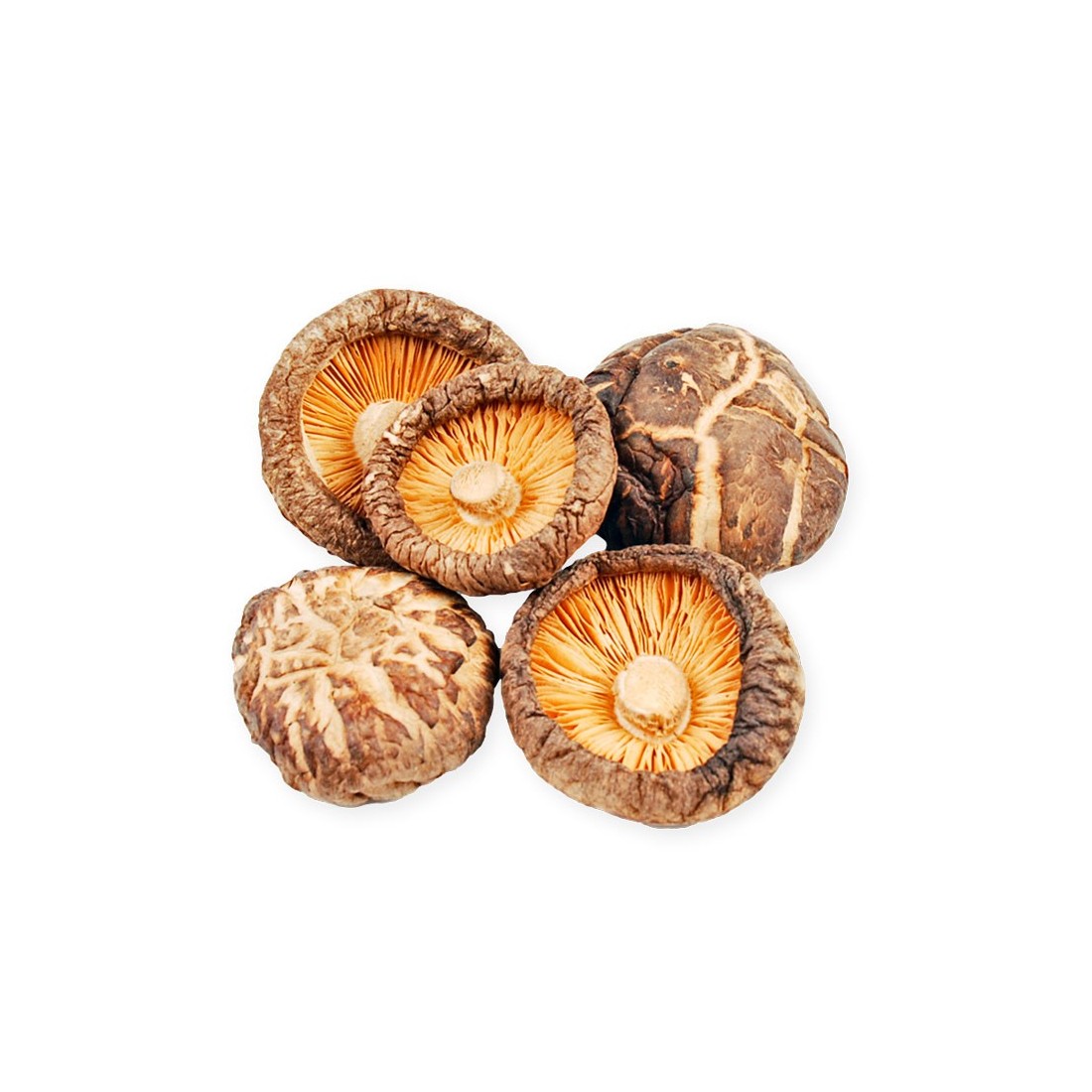 Lentinus Edodes Desidratado - Shiitake Gourmet 100-1000g Lentinus Edodes Desidratado - Shiitake Gourmet 100-1000g