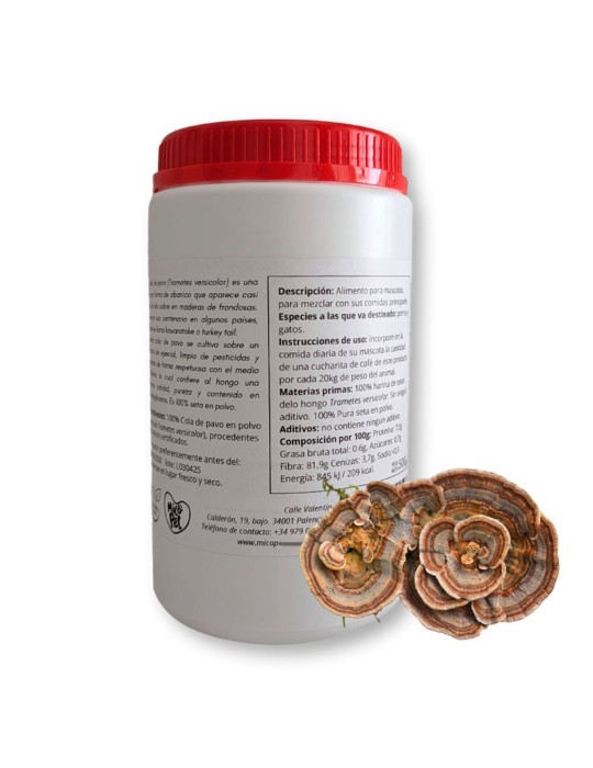 Cola de Pavo en polvo. 500 gr (Trametes versicolor) MicoPet