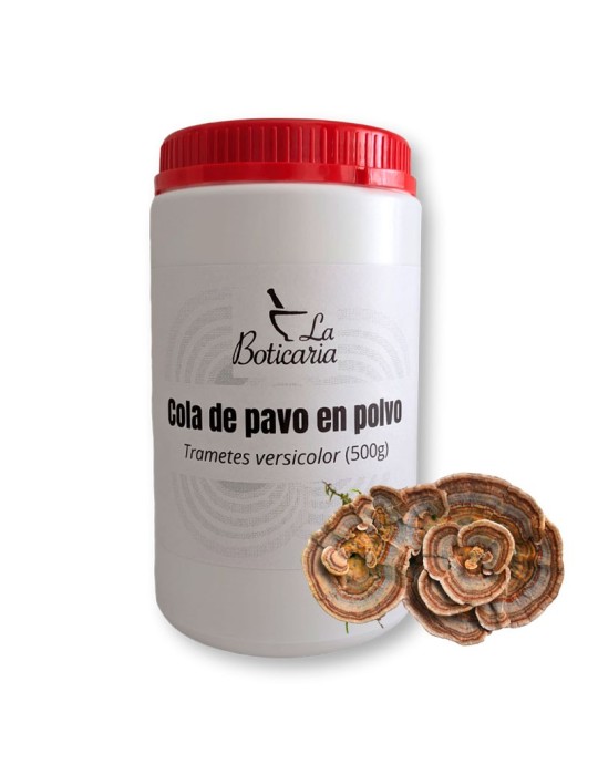 Cola de Pavo en polvo. 500 gr (Trametes versicolor) MicoPet Cola de Pavo en polvo. 500 gr (Trametes versicolor) MicoPet