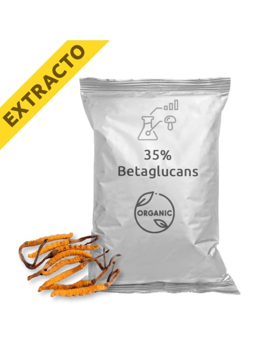 Extrait de Cordyceps Sinensis Bio pour Énergie Vitale