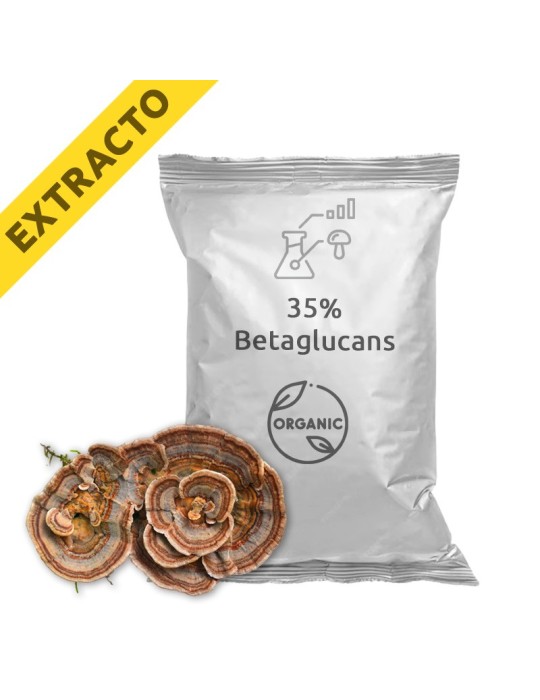 Extrato de Coriolus versicolor - Saúde e Bem-estar Natural