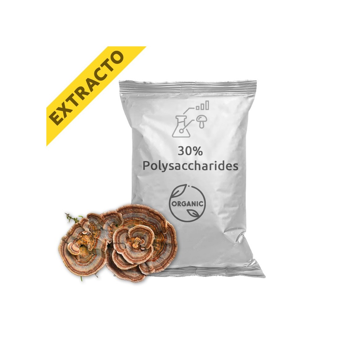 Estratto di Coriolus versicolor - Salute e Benessere Naturale