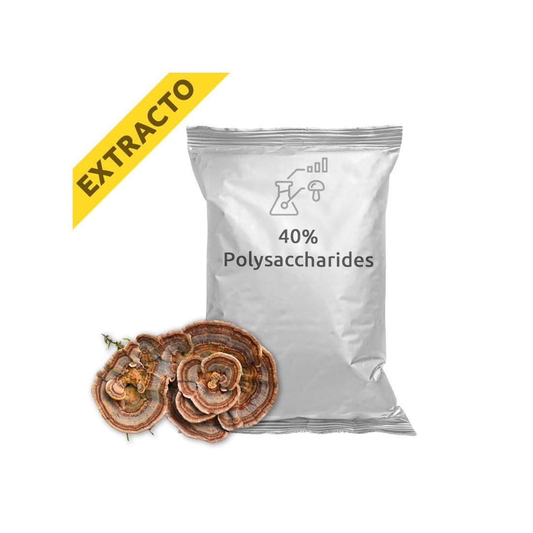 Extracto de Coriolus versicolor - Salud y Bienestar Natural Extracto de Coriolus versicolor - Salud y Bienestar Natural