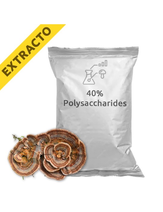 Extracto de Coriolus versicolor - Salud y Bienestar Natural Extracto de Coriolus versicolor - Salud y Bienestar Natural