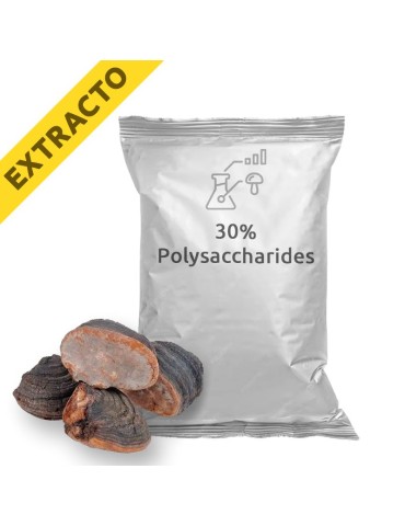 Estratto di Phellinus linteus - Salute Naturale e Vitalità