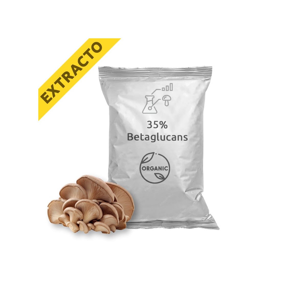 Estratto di Pleurotus ostreatus - Fungo ostrica biologico