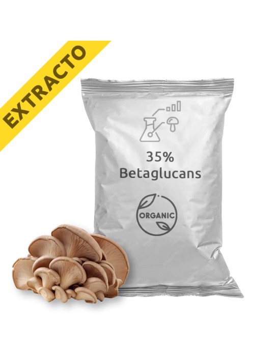 Extrait de Pleurotus ostreatus - Champignon huître bio