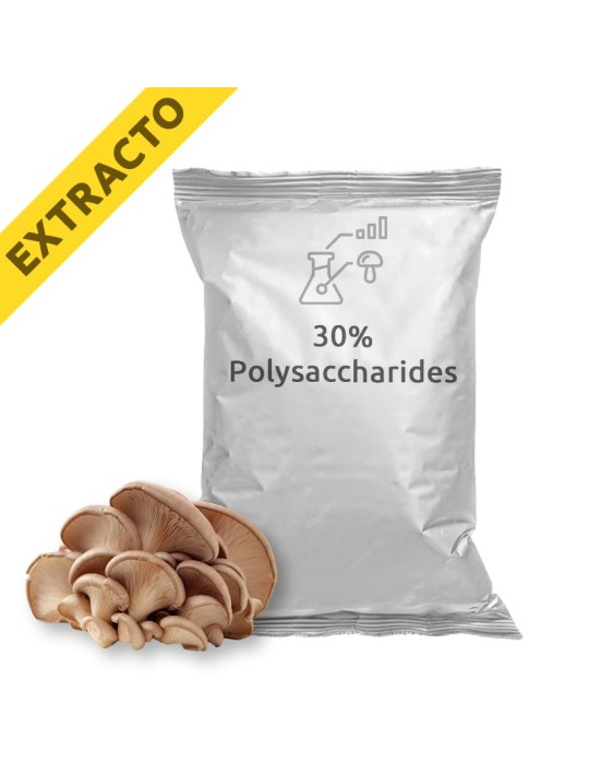 Pleurotus ostreatus Extrakt - Bio Austernpilz Pleurotus ostreatus Extrakt - Bio Austernpilz