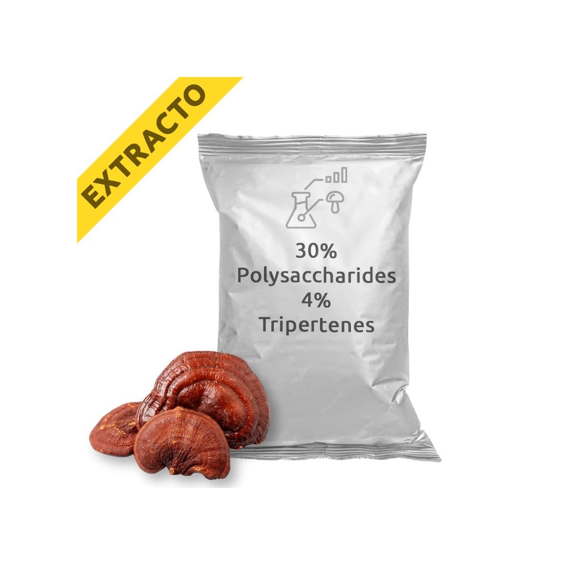 Extrato Orgânico de Ganoderma lucidum Reishi 55g Extrato Orgânico de Ganoderma lucidum Reishi 55g