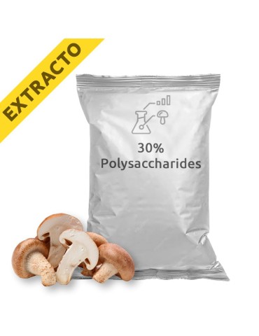 Bio Shiitake Extrakt - Natürliche Energie und Wohlbefinden