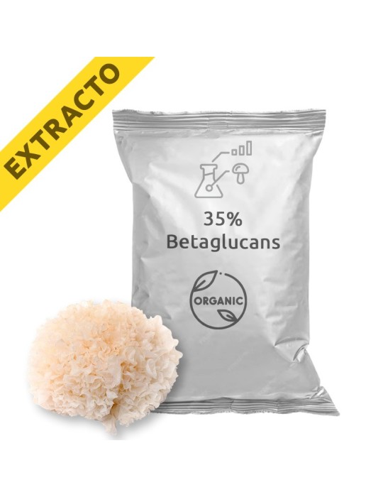 Extrait de Tremella fuciformis Bio PRO - Beauté et Bien-être