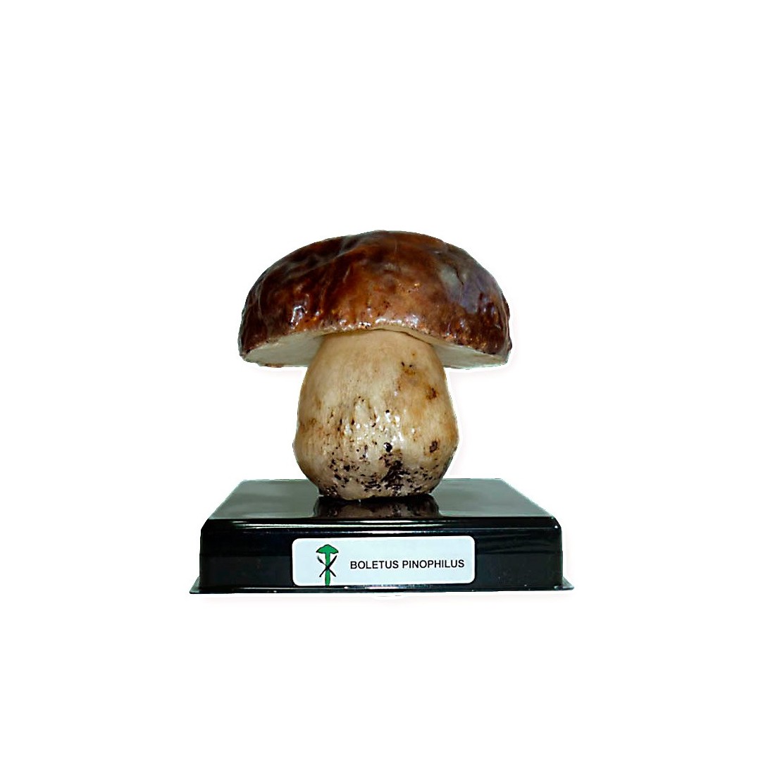 Freeze-Dried Mushroom Replica - Natural and Healthy Flavor