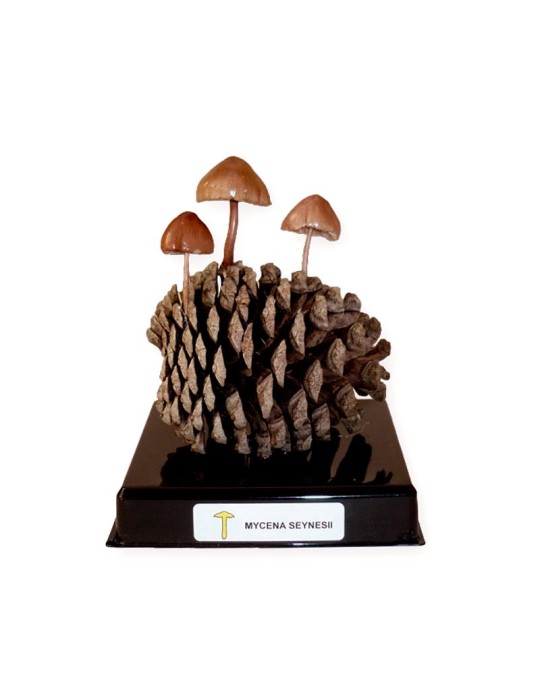 Freeze-Dried Mushroom Replica - Natural and Healthy Flavor