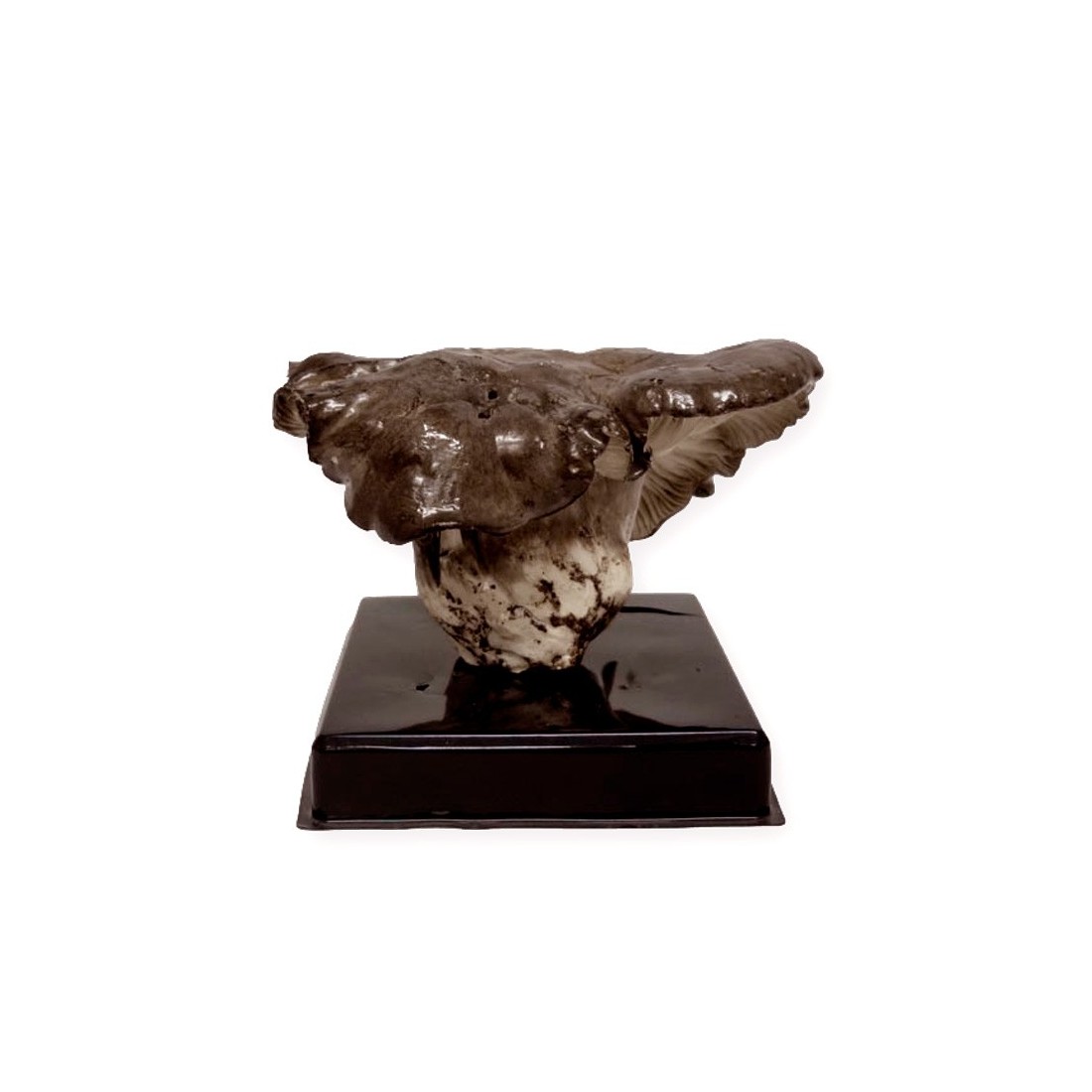 Freeze-Dried Mushroom Replica - Natural and Healthy Flavor