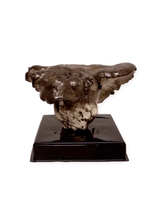 Freeze-Dried Mushroom Replica - Natural and Healthy Flavor