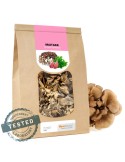 Maitake Essiccato G. frondosa - Fonte di Energia Naturale