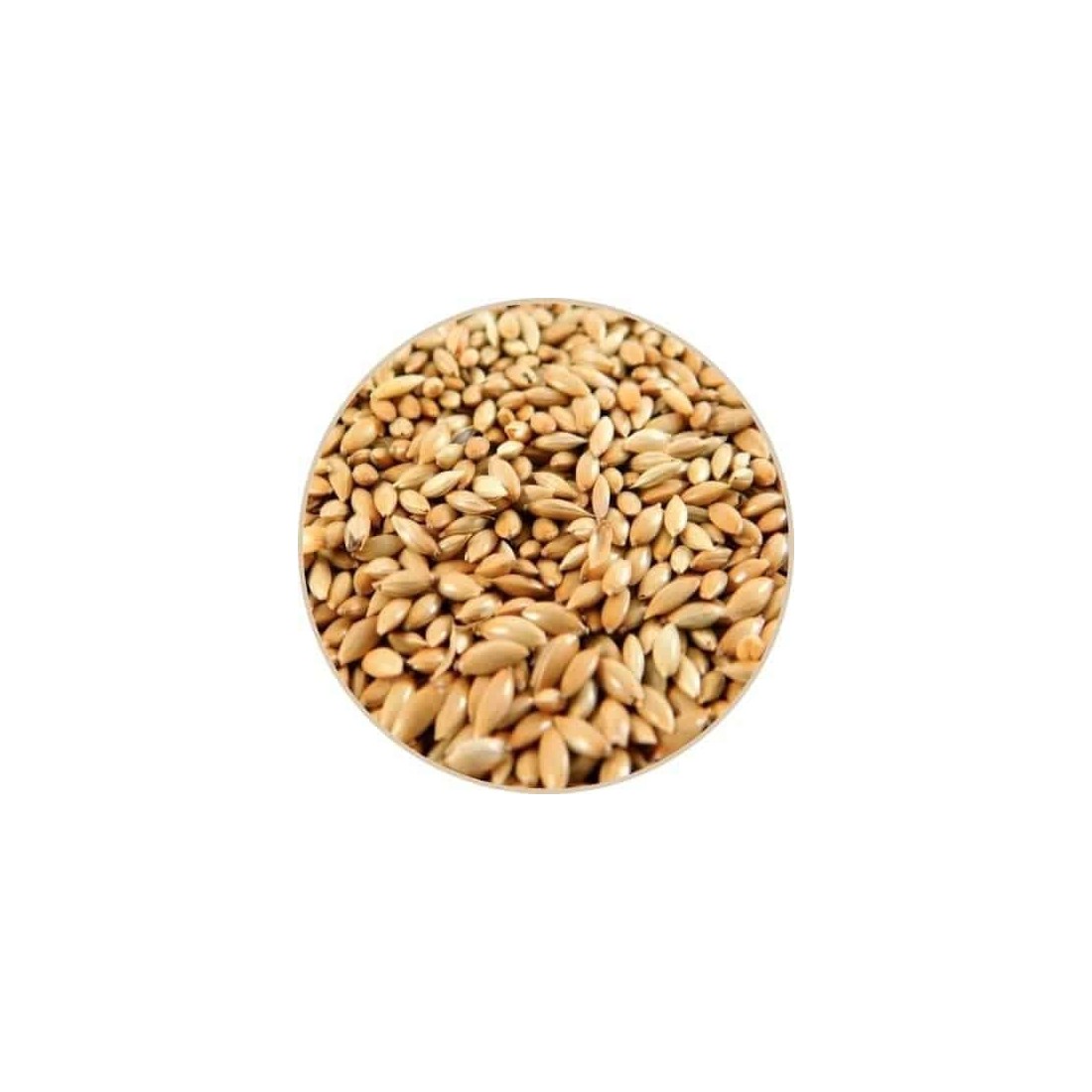 Grano di Cereale Sterilizzato - Nutrizione e Benessere