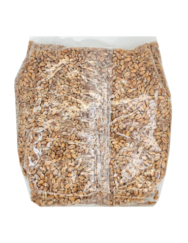 Grano biologico 500 g