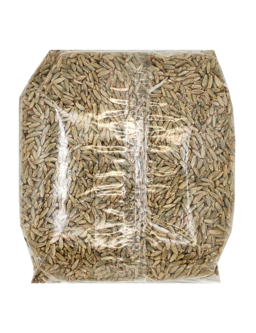 Segale biologica in grani 500 g