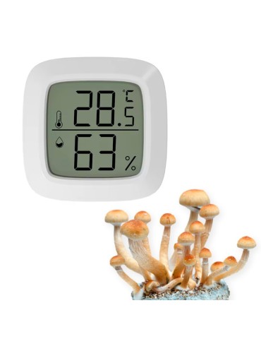 Mini hygromètre digital LCD d'intérieur Thermomètre