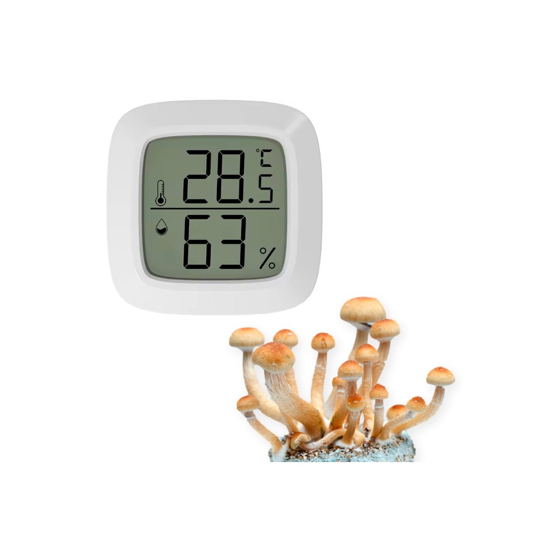 Mini hygromètre digital LCD d'intérieur Thermomètre