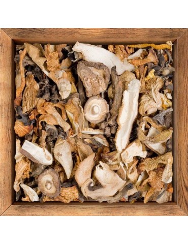 Champignons déshydratés en vrac 2