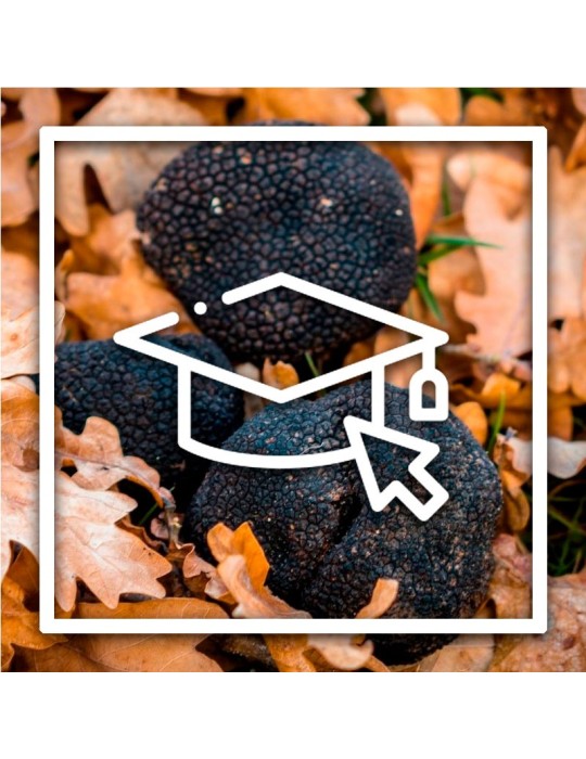 Kurs für Trüffelanbau Kurs für Trüffelanbau
