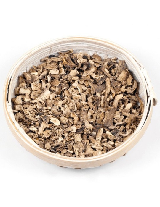 Champignons huîtres déshydratés | Saveur intense et 100% naturelle Champignons huîtres déshydratés | Saveur intense et 100% naturelle