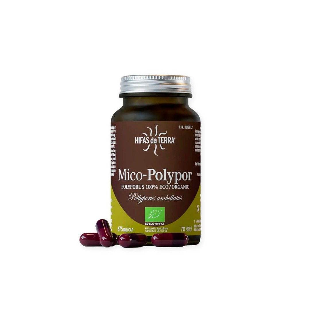 Mico Polypor 70 Capsules - Natural Immune Support &... Mico Polypor 70 Capsules - Natural Immune Support &...