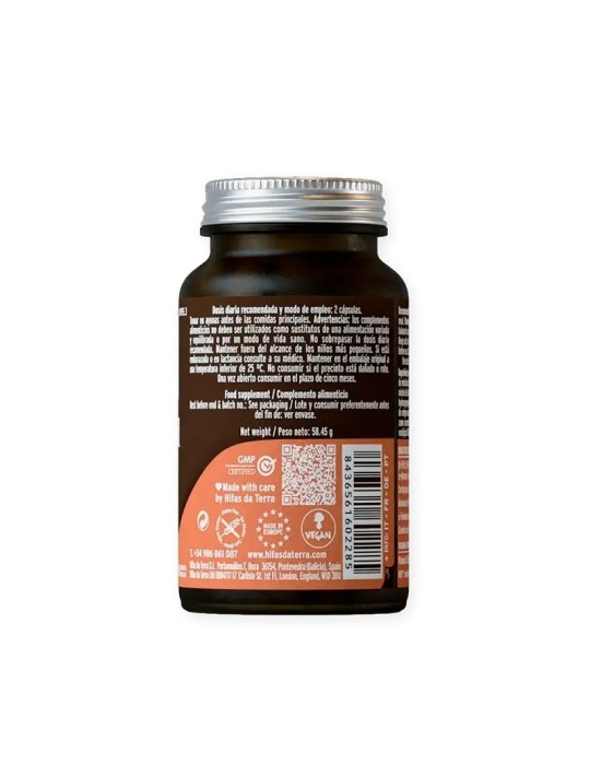 Mico Cord. Cordyceps HDT 70 Caps - Energia e Vitalidade