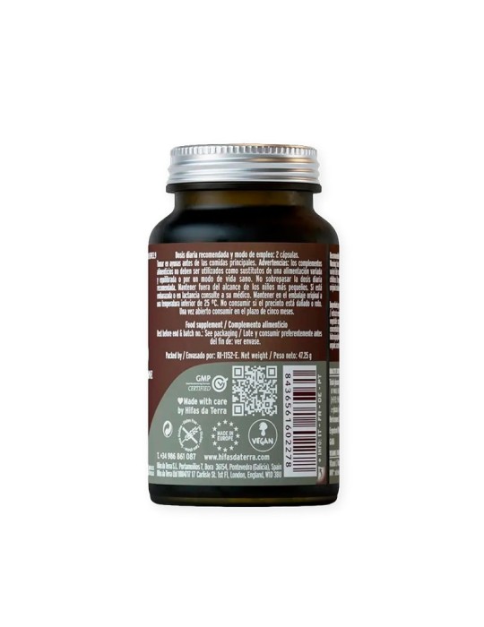 Mico Leo Melena de Leão HDT 70 Caps - Suplemento Ecológico