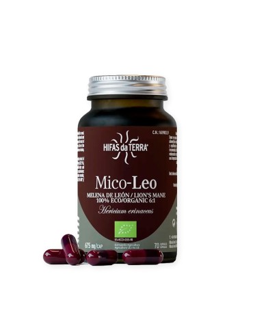 Mico Leo Löwenmähne HDT - Natürliche Energie & Kognition