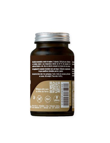 Mico Corio PSK 70 Capsules - Boost Immune System Naturally 2