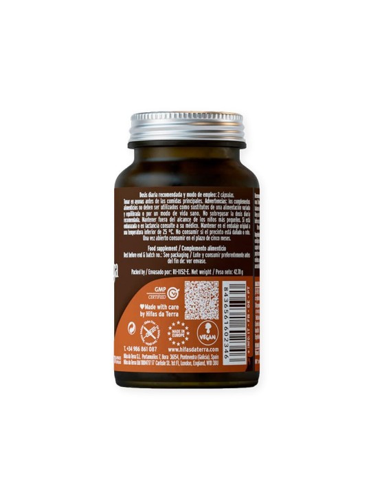 Mico-Chaga