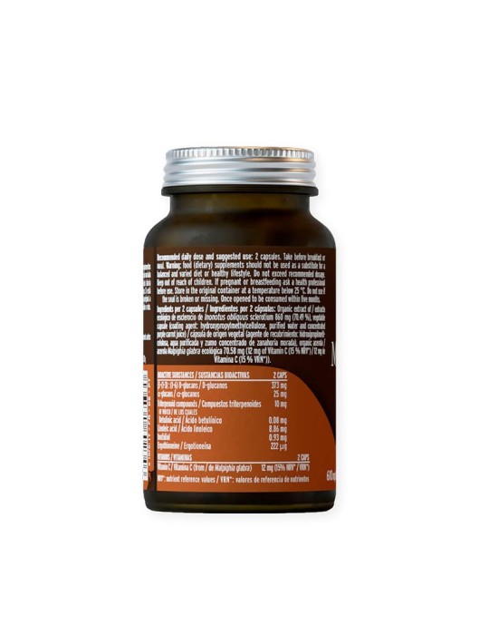 Mico-Chaga