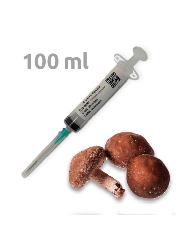 100 ml de micélio numa seringa - Shiitake Donko
