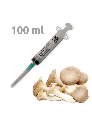 100 ml di micelio madre in siringa - P. eryngii