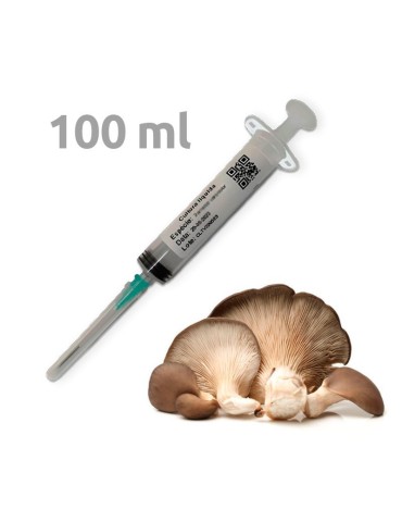 100 ml di micelio madre in siringa - P. ostreatus