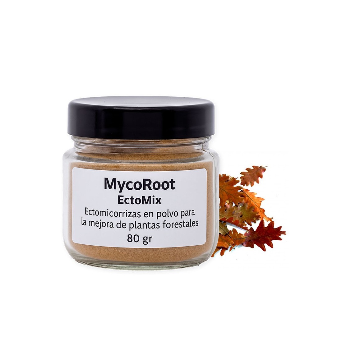 Ectomicorrizas em Pó - Aumenta Nutrientes e Resistência... Ectomicorrizas em Pó - Aumenta Nutrientes e Resistência...