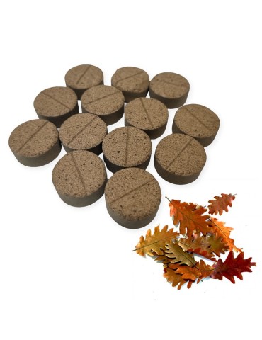 Ectomicorrizas Comprimidos para Árvores Florestais