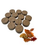 Comprimidos de ectomicorrizas MycoRoot Ecto Mix para crescimento e saúde de árvores florestais como pinheiros e carvalhos.