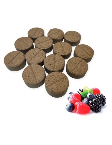 Endomicorrizas Comprimidos para Frutíferos e Hortaliças