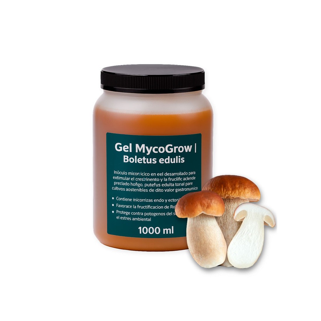 Gel MycoGrow | Gel micorrízico para Boletus edulis