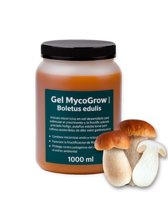 Gel MycoGrow | Boletus edulis